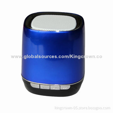 Portable wireless speaker